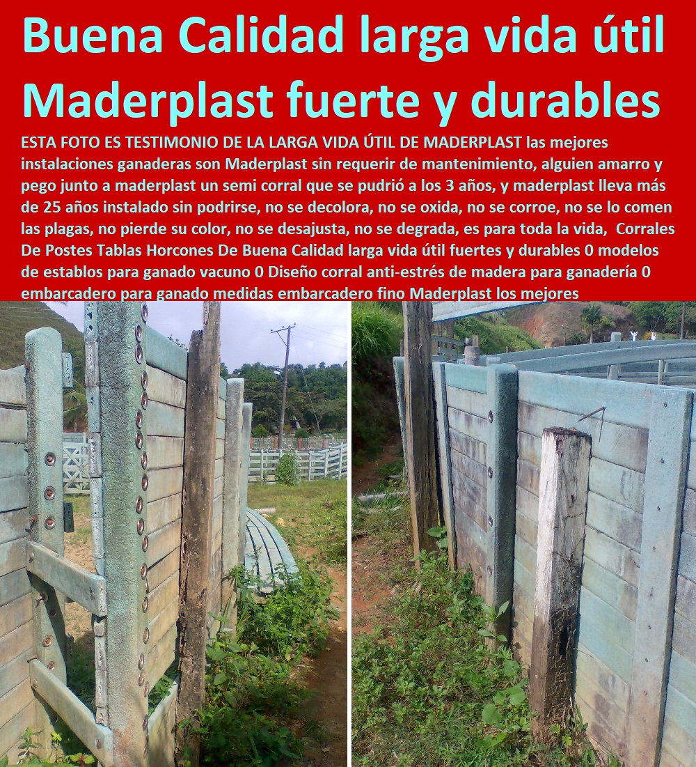 Corrales De Postes Tablas Horcones De Buena Calidad larga vida útil fuertes y durables 0 modelos de establos para ganado vacuno 0 Diseño corral anti-estrés de madera para ganadería 0 embarcadero para ganado Corral Caballerizas, Pesebreras De Caballos, Plaza Toros, Brete Ganadero, Apretaderos Embarcaderos, Postes Tablas, Polines Varetas, Mangas De Coleo, Horcones Madera Plástica, Corrales, Establos De Ganado, Mangas De Coleo, medidas embarcadero fino Corrales De Postes Tablas Horcones De Buena Calidad larga vida útil fuertes y durables 0 modelos de establos para ganado vacuno 0 Diseño corral anti-estrés de madera para ganadería 0 embarcadero para ganado medidas embarcadero fino